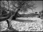 neve, 2