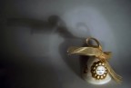 Facendo qualche prova con luci e fondali decisamente artigianali, semplicemente una lampadina e un foglio artistico. Anche il soggetto  quello che , ma nel complesso non mi sembra malaccio, insomma.
L'effetto faro e conseguente ombra doppia sono voluti, ho usato uno specchietto per riflettere la luce con pi precisione.