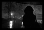 &quot;Ombre e Nebbia&quot;