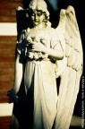 "Il luogo della memoria" Cimitero S. Michele in Isola - Venezia