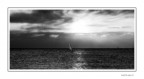 Oggi al mare