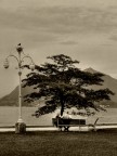 Sognando a Stresa