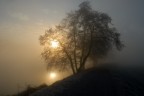 Colori d'inverno