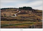 Linee