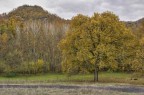 autunno