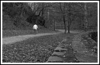 Passeggiando nel Parco