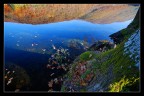 riflessi d'autunno