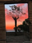 questa foto, con una funzione speciale (scambio colore) non  stata ritoccata a psp... l'albero non so, ma mi ricorda un crocifisso... il colore rosso mi  sembrato allora adeguato...