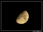 Foto fatta con la Panasonic FZ20