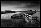 valli di comacchio n.5