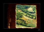 Vision