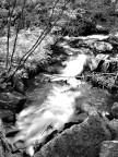 Un fiume del trentino tra le rocce...