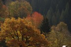 colori in Val dei Mocheni