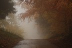 colori e nebbia