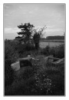 Nostalgia d'autunno