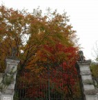 Autunno