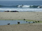 Surf in USA....