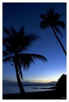 Madagascar - Nosy Be - Alba