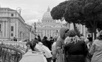 Roma bn