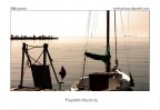 Finestra tricolore