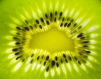 Fotografia realizzata con D70 e Tamron 90 macro