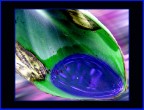 Colori 3