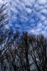 cielo