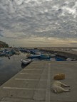 Lato Ascetico di un Giorno da Cani