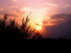 Tramonto