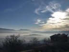 Misty Morning