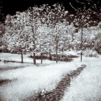 IR