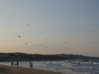uomini,spiaggia e gabbiani