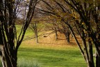 E' una cittadina molto bella..con panorami stupendi...ma ha me..mi ha colpito questo angolino dei sui giardini.E' propio vero,la vita  strana,ero li per fotografare mura ,vicoli,piazze,panorami ... ed alla fine ..per me ,Volterra  rappresentata da questa foto.