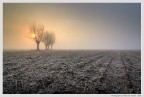 Attrezzatura: Canon Eos 400D, Tokina ATX Pro 12-24 f4, polarizzatore, GND 2x, treppiede.

Una fredda mattina di tre settimane fa, vicino a Castagnole, TO

Grazie in anticipo se vorrete commentare,

Paolo
I miei migliori auguri per uno splendido 2008 a tutti voi.