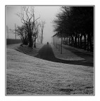 Qualcuno dalla nebbia Qualcuno dalla nebbia