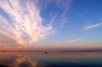 Foto scattata al primo giorno del 2008.Ci si ritorna molto volentieri in questo luogo, il Delta del Po.


Nikon D100 Af18-55 f.3.5-5.6