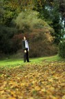 tappeto d'autunno
