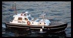 Piloti