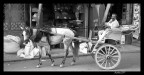 il carretto ...