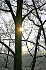Nascondino con il sole