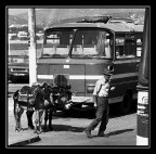 Asinelli a Istanbul