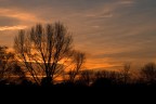 Il sole al tramonto mi ha sempre affascinato perch i raggi luminosi riescono a disegnare sempre qualcosa di unico e irripetibile nel cielo.