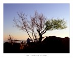 The Crimson Sunset