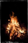 Fuoco di ferragosto 2007