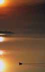 Verso la luce