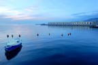 Boe nel blu