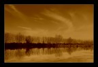 Variazione