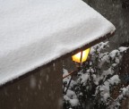 barricato in casa, uffi