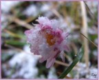 Che freddo .......