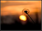 Tra luce e contrasto..